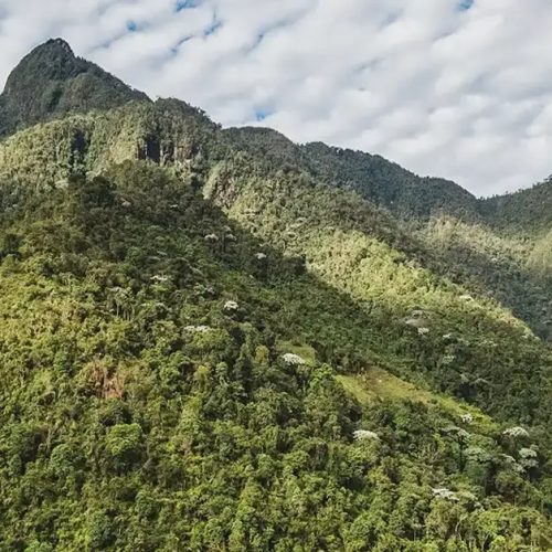 Trekking-a-Pico-de-Loro