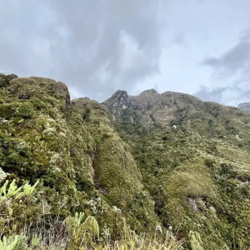 trail-app-router
